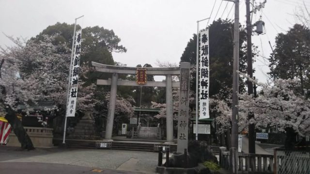 針綱神社の桜
